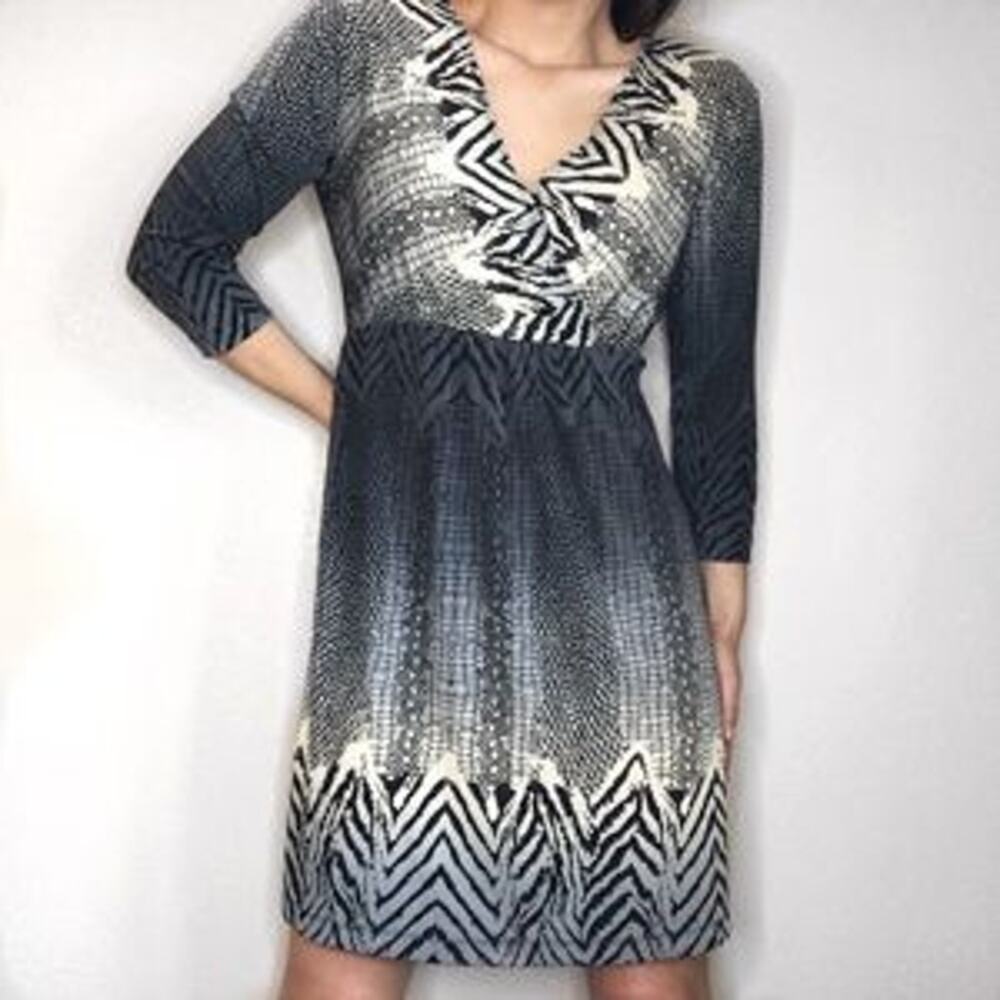 Chicos Dress Zebra Print V Neck Quarter Sleeve V-Neck Women's size 2 or US L